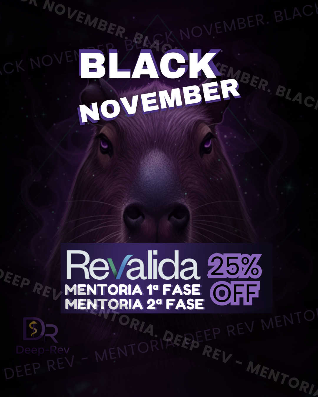 Black November - 20% OFF
